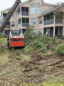 commercial tree removal service