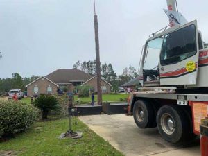 large tree removal service