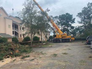 storm damage tree cleanup crane service