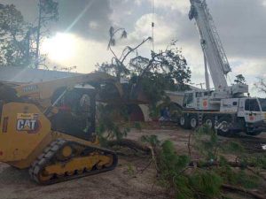 storm debris tree cleanup