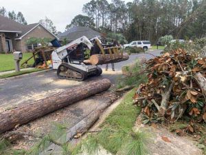 storm tree cleanup service